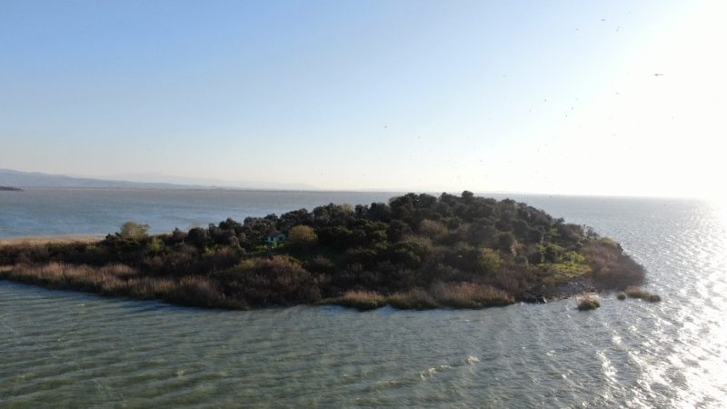 Bursa’da 90 yıldır ailelerine ait Uluabat Gölü’nün ortasındaki Martı Adası’nı