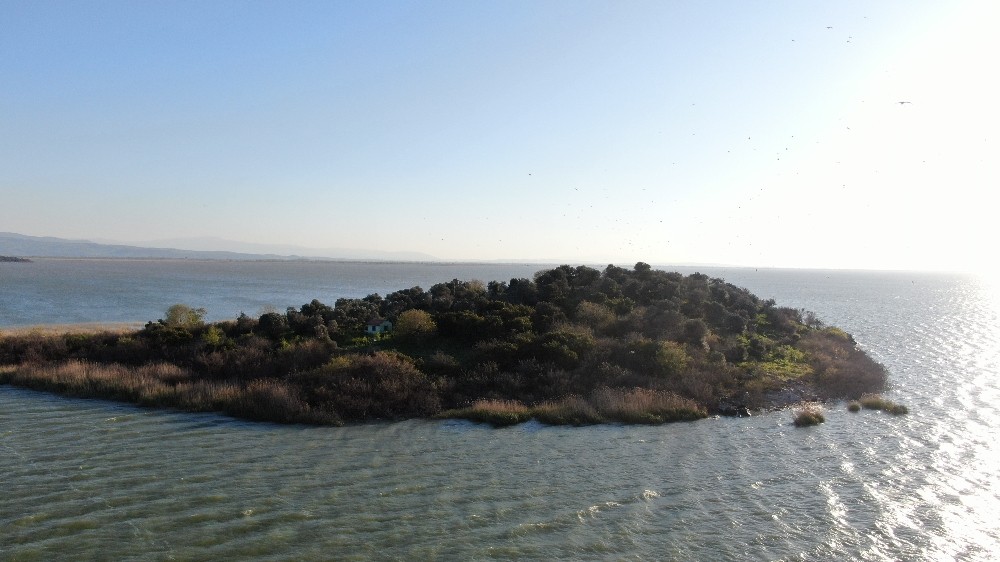 Bursa’daki adanın sahibi, Ronaldo’dan umudu kesti Fatih Terim’e seslendi Bursa’daki adanın sahibi, Ronaldo’dan umudu kesti Fatih Terim’e seslendi