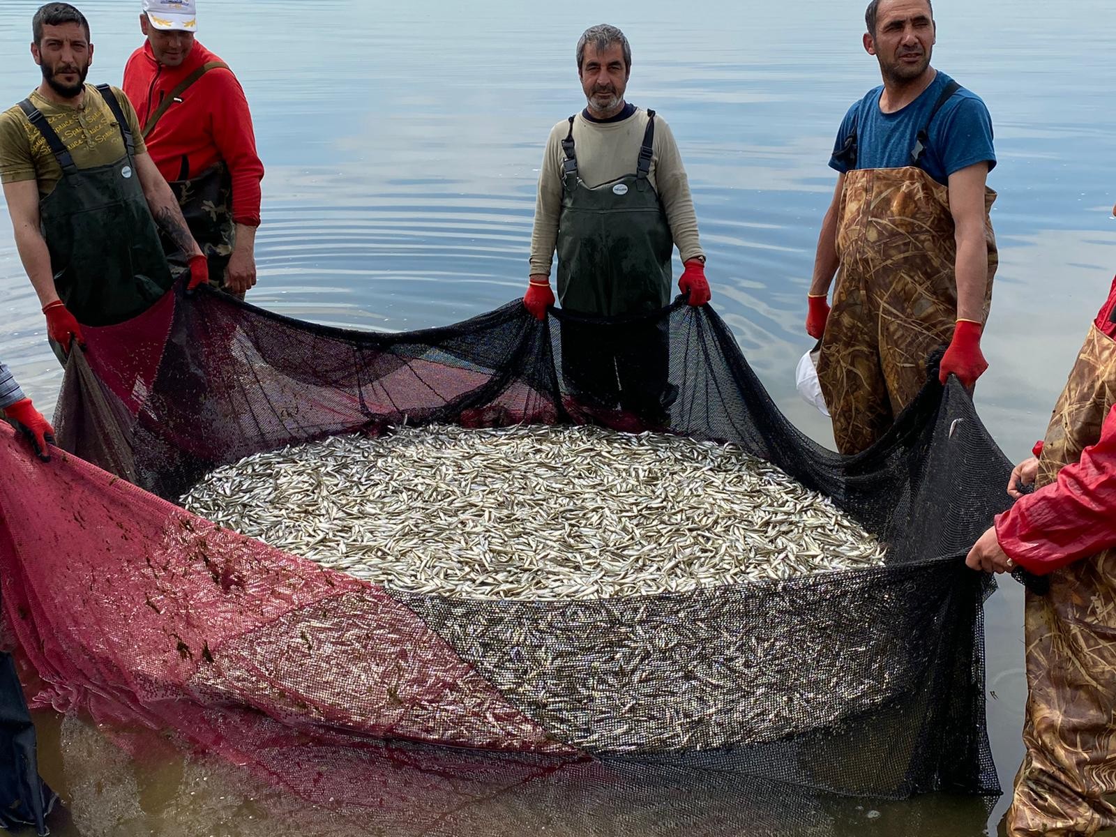 İznik Gölü balığa doydu… 2 günde 20 ton avladılar… İznik Gölü balığa doydu… 2 günde 20 ton avladılar…