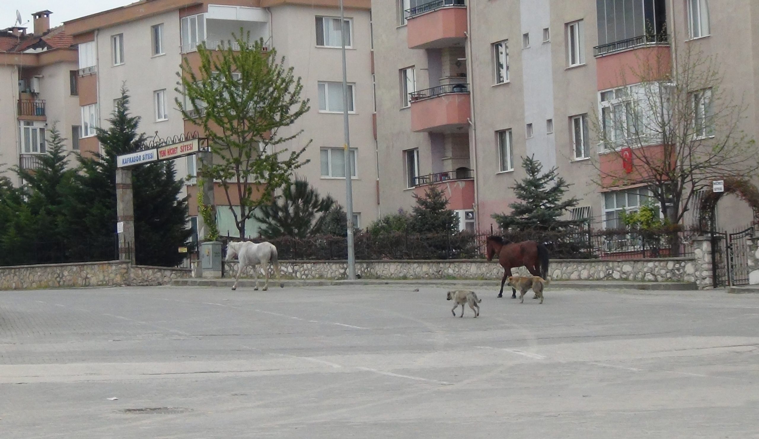 Bursa onlara emanet… Boş sokak ve caddelerin keyfini sürdüler…