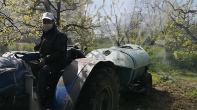 Bursa’da yasaktan muaf olan çiftçiler meyve ağaçlarını ilaçladı