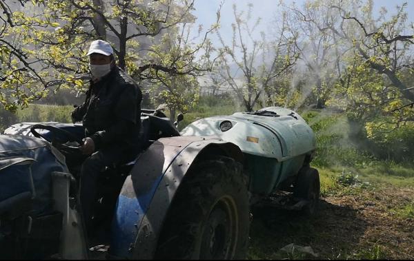 Bursa’da yasaktan muaf olan çiftçiler meyve ağaçlarını ilaçladı