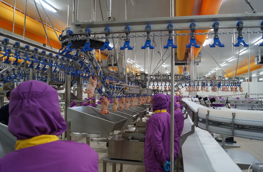 Has Tavuk’tan personel arttırımı