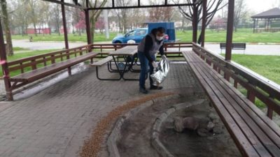 İnegöl Belediyesi sokak hayvanlarını yalnız bırakmıyor