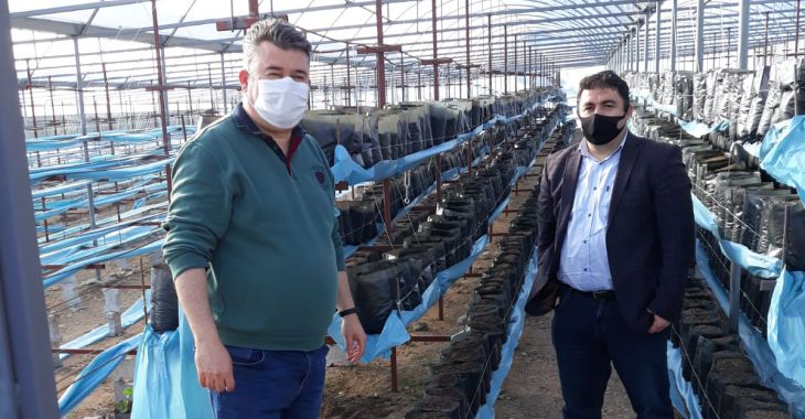 Çiftçiye destek sürüyor 1 keles çilek