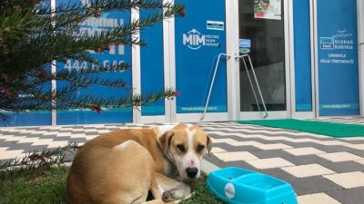 Limak Enerji’den içi ısıtan proje