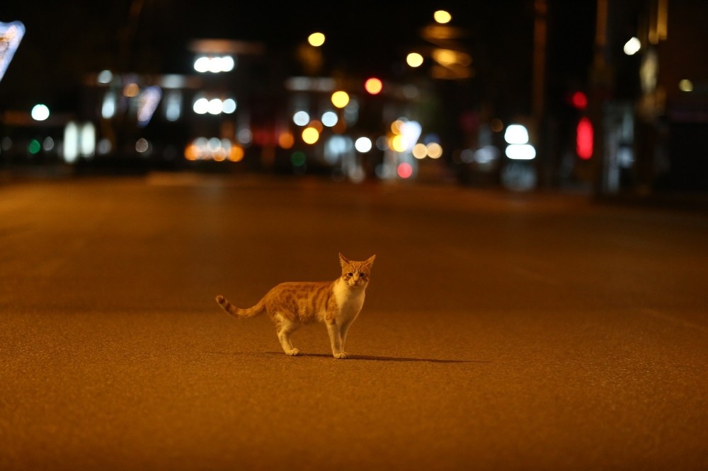 56 saatlik yasak! 81 İLDE BAŞLADI… 56 saatlik yasak! 81 İLDE BAŞLADI…