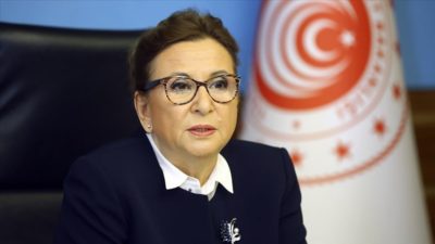 TIR şoförleri tekrar yurtdışına çıkabilecek