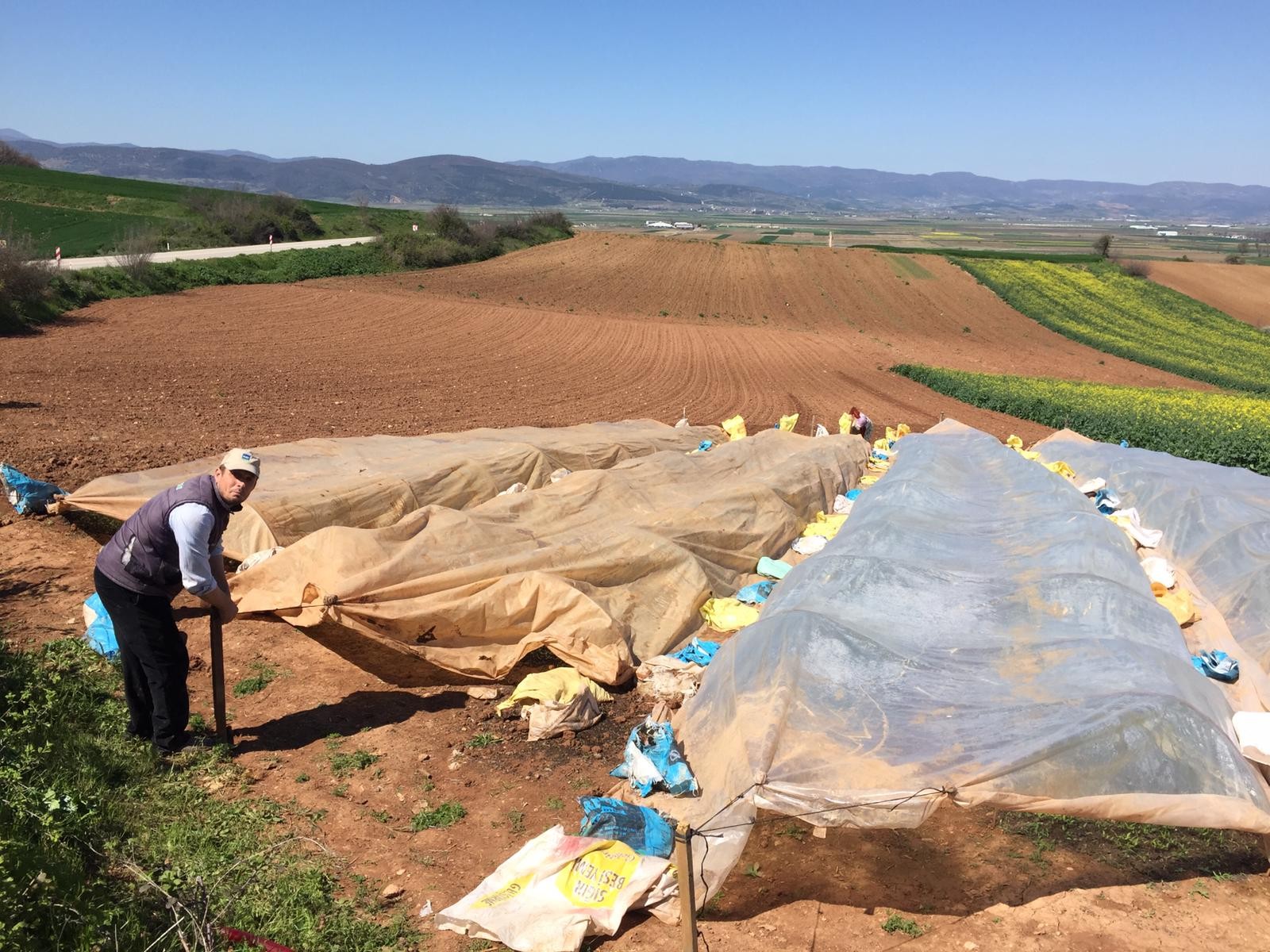 Bursalı çiftçiler harıl harıl…