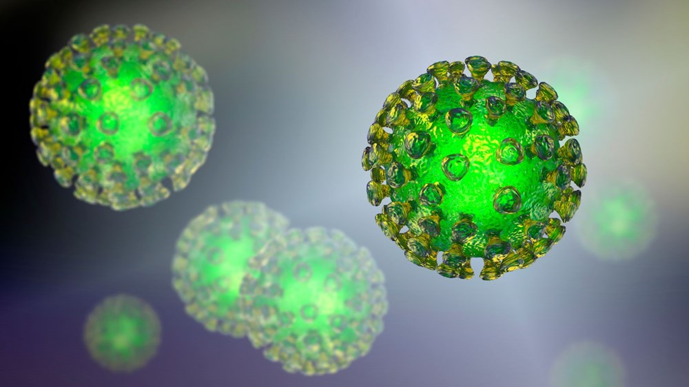 İlkbahar koronavirüsü durduracak mı?