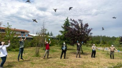 Bursa’da tedavi edilen 2 çakal ve 7 şahin doğaya bırakıldı