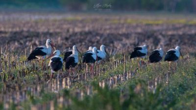 2 yıldır kayıptı! Bursa’da ortaya çıktı