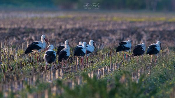 2 yıldır kayıptı! Bursa’da ortaya çıktı 2 yıldır kayıptı! Bursa’da ortaya çıktı
