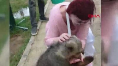 Ünlü şarkıcıya şok saldırı! Neye uğradığını şaşırdı