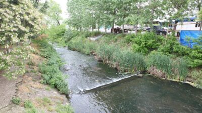 Dereler pırıl pırıl