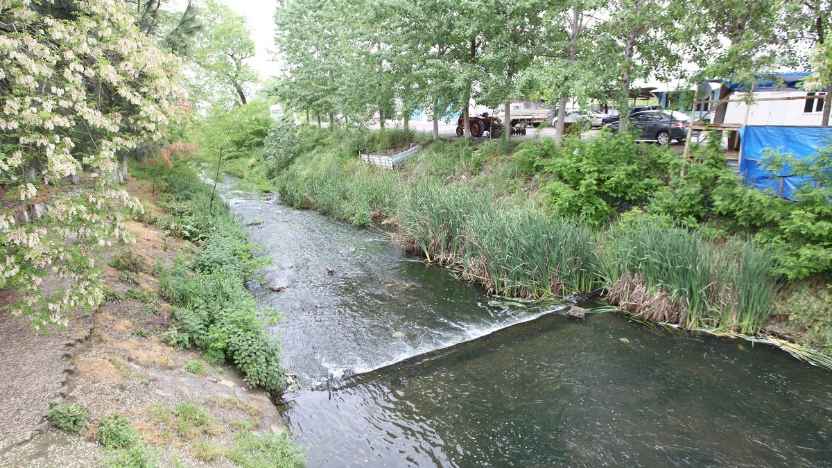 Dereler pırıl pırıl Dereler pırıl pırıl