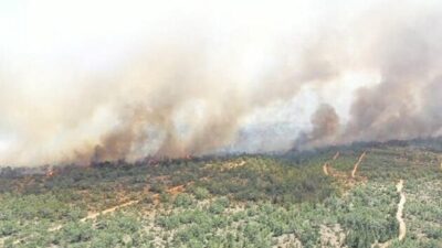 KKTC’de orman yangını