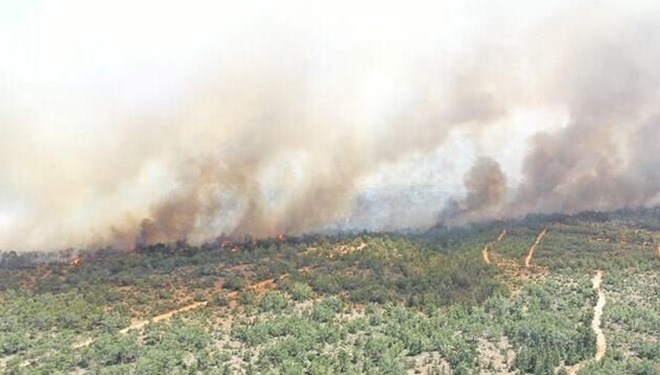 KKTC’de orman yangını