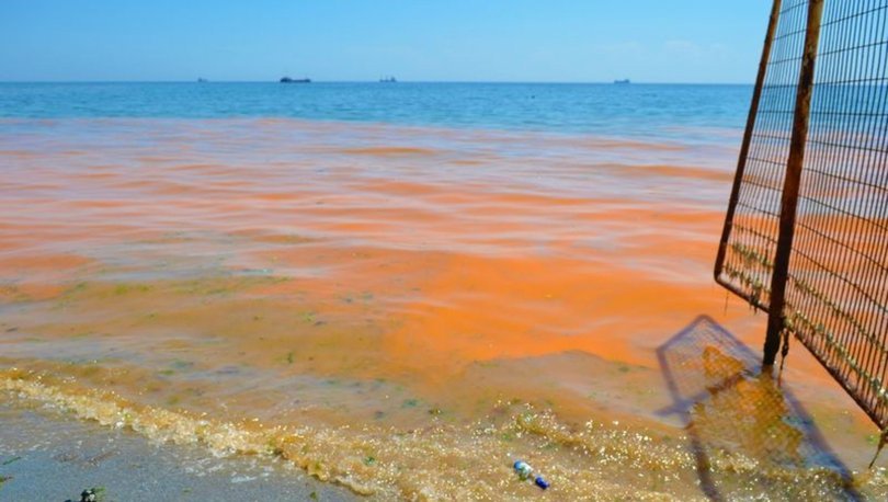 Marmara Denizi’ndeki renk değişimiyle ilgili dikkat çeken uyarı