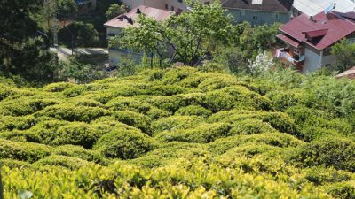 6 bin 900 TL maaşla çalışacak 2 bin işçi arıyorlar