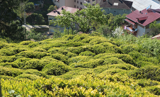 6 bin 900 TL maaşla çalışacak 2 bin işçi arıyorlar