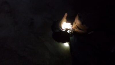 Bursa’da mağaraya girip eline aldığı yarasayı öptü