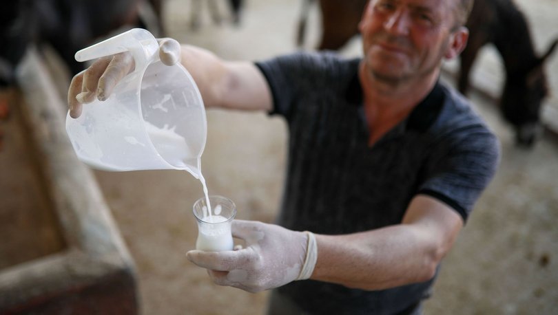 Eşek sütünün litresi 100 lira