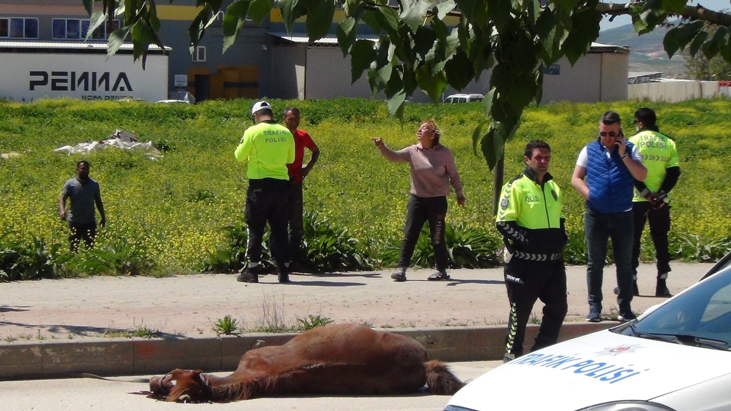 Bursa’da inanılmaz kaza… Boş yolda çarptı… Bursa’da inanılmaz kaza… Boş yolda çarptı…