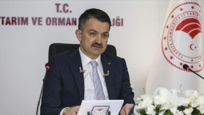 Bakan müjdeyi verdi! Önümüzdeki hafta…