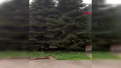 Mayıs ayının son günleri! Uludağ’da kar yağdı