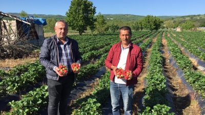Bursa’dan Türkiye’nin dört bir yanına gönderiliyor! Yoğun talep var
