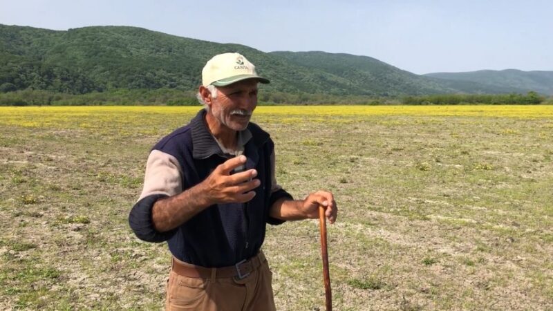 Bursalı çobanın kendine has üslubuyla anlattığı video, sosyal medyayı salladı! Bursa'nın Karacabey ilçesinde çobanlık yapan Yakup Sav'ın kuşlardan kendine has