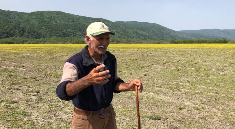 Bursalı çobanın kendine has üslubuyla anlattığı video, sosyal medyayı salladı! Bursalı çobanın kendine has üslubuyla anlattığı video, sosyal medyayı salladı!