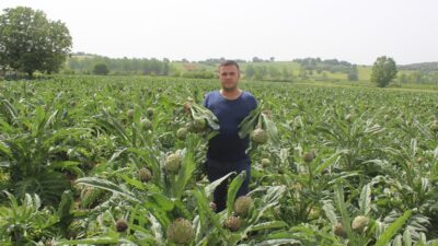 Bursa’da bir dönümden 15 bin lira kazandırıyor! 2 katına satılıyor, kapış kapış gidiyor…