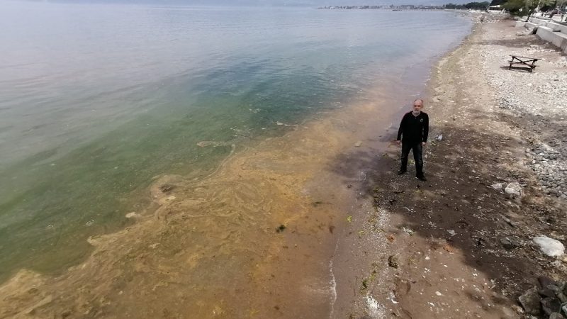 Şaşkına çeviren görüntü Bursa’dan… Denizin rengi değişti! Bursa’nın Gemlik Körfezi’nde deniz turuncu renge boyandı. Bazı vatandaşlar şaşkınlığını