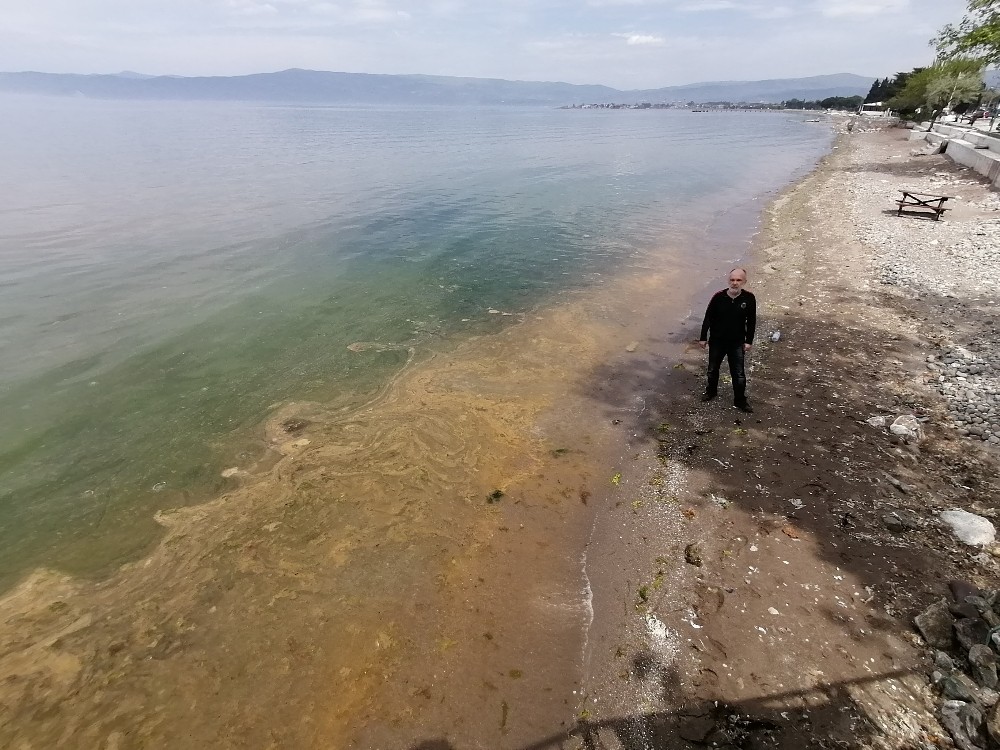Şaşkına çeviren görüntü Bursa’dan… Denizin rengi değişti!