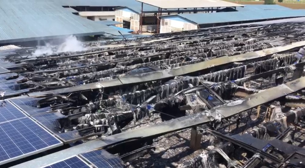 Bursa’da hayvan çiftliği alev alev yandı Bursa’da hayvan çiftliği alev alev yandı