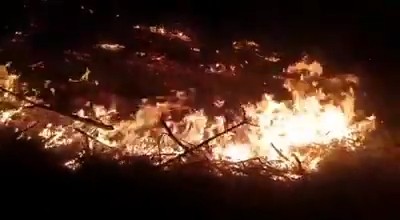 Bursa’da 10 dönümlük alan küle döndü