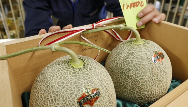 Geçen yıl 46 bin Dolar’dı… Bu sezon fiyatı 1100 Dolar…