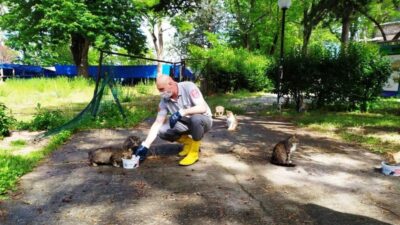 Osmangazi’de sokak hayvanları sahipsiz değil