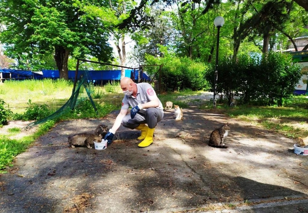 Osmangazi’de sokak hayvanları sahipsiz değil