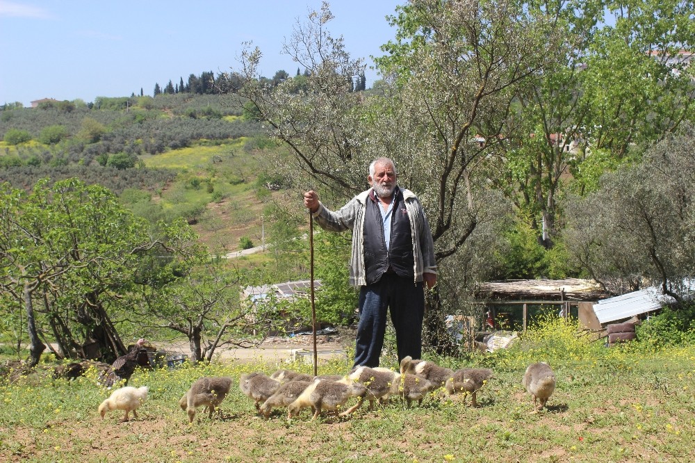Bursa’da yaşlı adama 20 milyonluk şok Bursa’da yaşlı adama 20 milyonluk şok