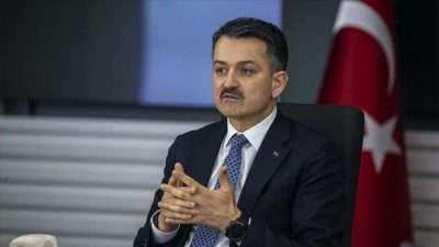 Bakan Pakdemirli duyurdu! 100 milyon liralık destek