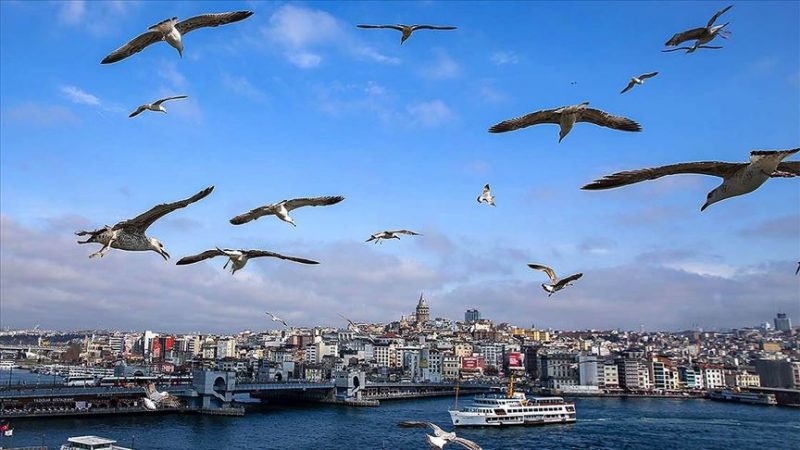 Türkiye genelinde bu hafta Kuzey Afrika üzerinden gelen sıcak hava