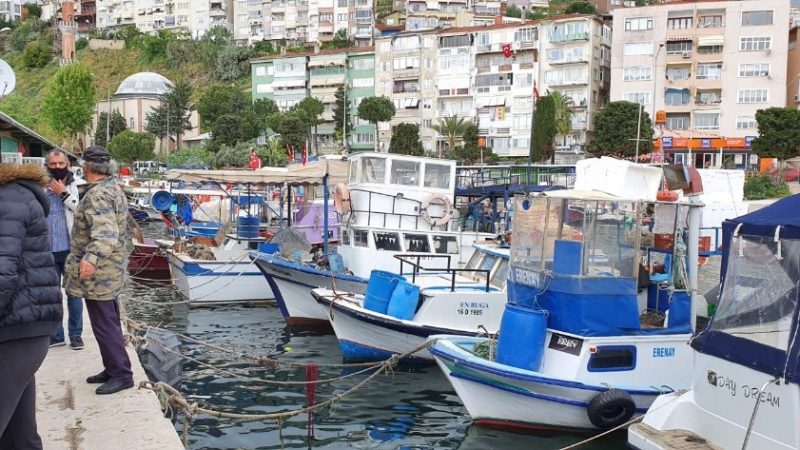 Yasağı denizden deliyorlar… Bursa’nın Gemlik Körfezi’ne deniz yoluyla şehir dışından tekneleriyle gelen çok