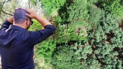 Bursa’da zeytin ağaçları arasında bulundu! Definecilerin hedefi oldu