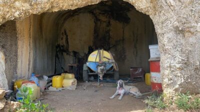 Bursa’da akıl almaz olay! Tam 2000 yıllık ama…