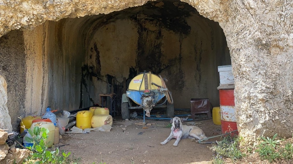 Bursa’da akıl almaz olay! Tam 2000 yıllık ama…