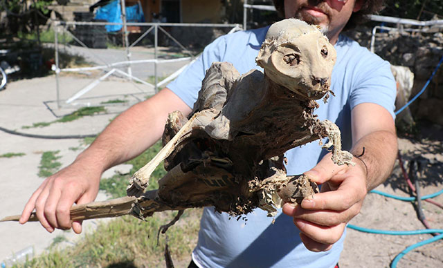 Evin bodrumunda buldu, gördüklerine şoke oldu