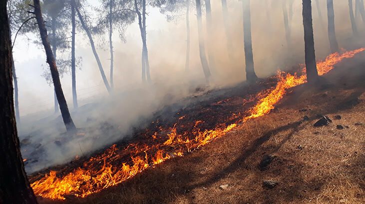 Kırıkhan’da 40 dönümlük kızılçam bitki örtüsü yandı